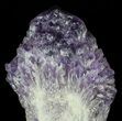 Natural Amethyst Crystal Bouquet - With Stand #62841-2